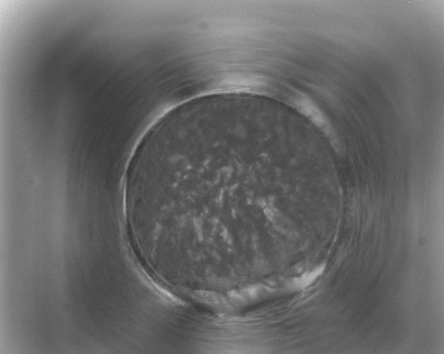 X0000068771275200605051622