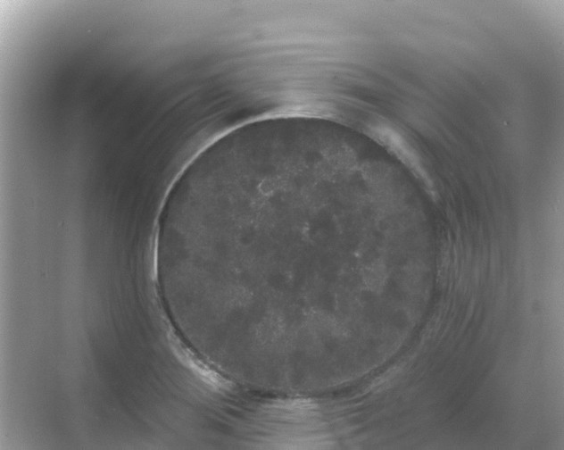 X0000068771276200605051622