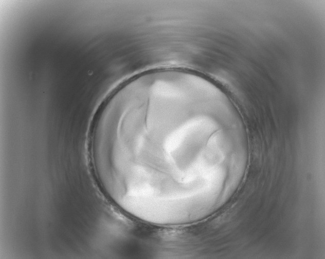 X0000068771278200605051622