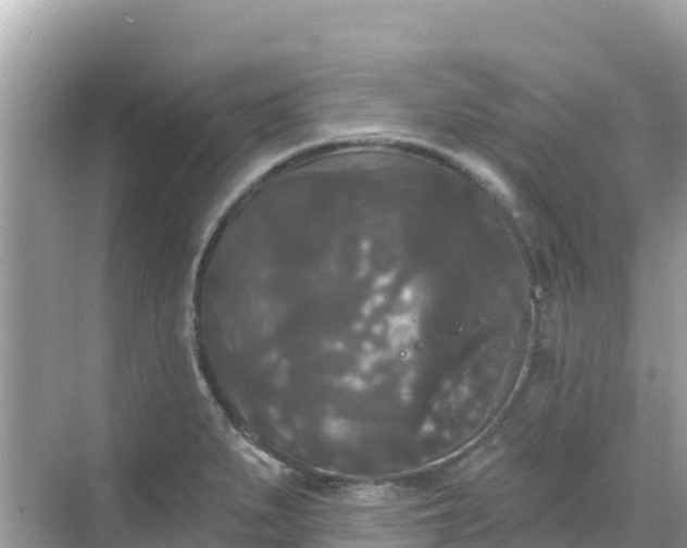 X0000068771279200605051622