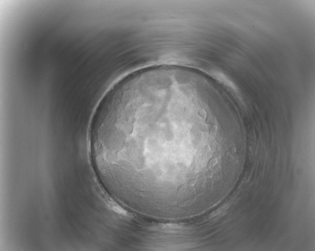 X0000068771280200605051622