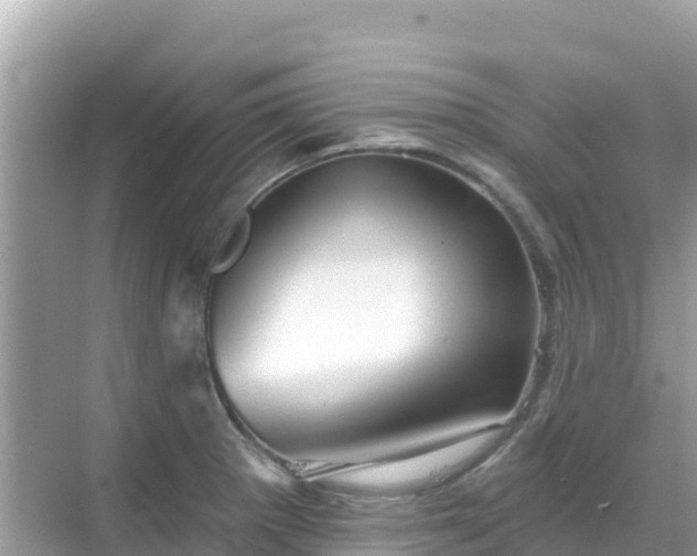 X0000068771281200605051622