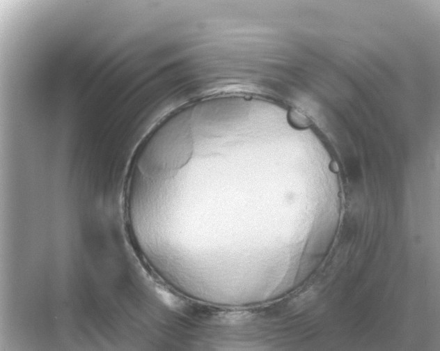 X0000068771282200605051622