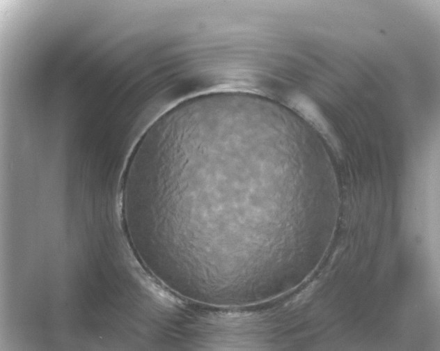 X0000068771284200605051622