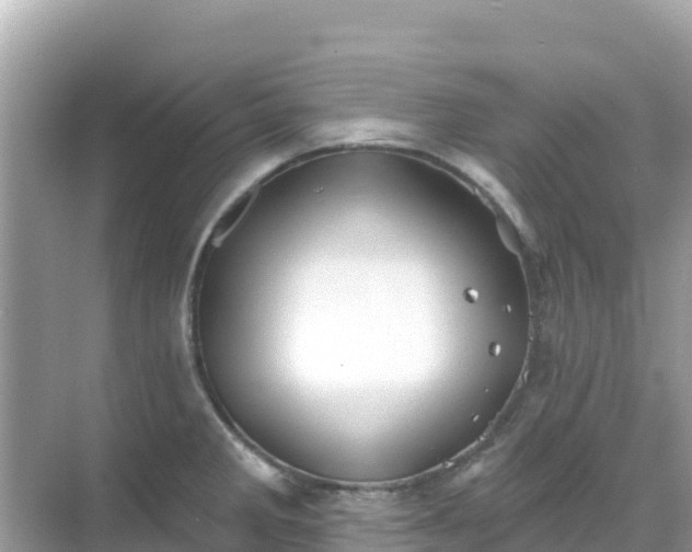 X0000068771285200605051622