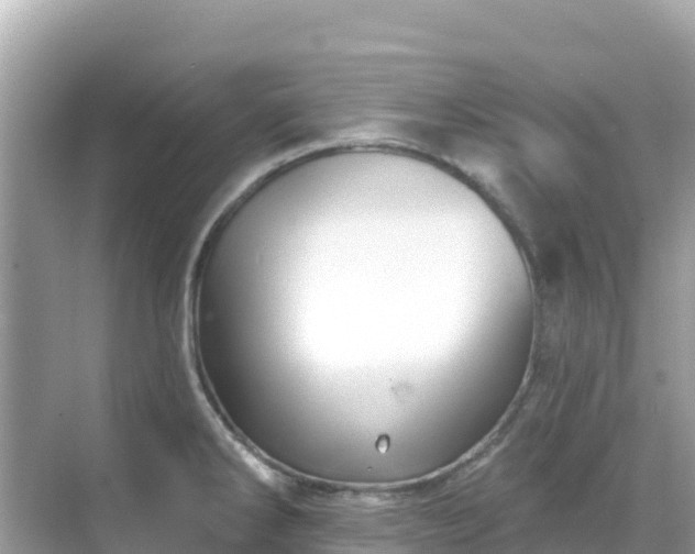 X0000068771286200605051622