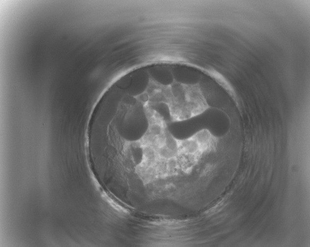 X0000068771287200605051622