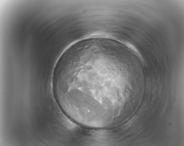 X0000068771288200605051622