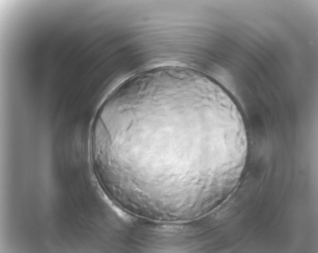 X0000068771290200605051622