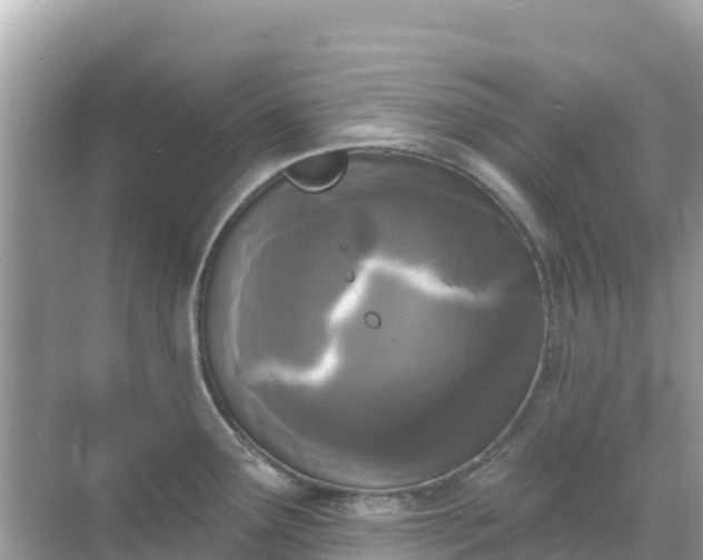 X0000068771291200605051622