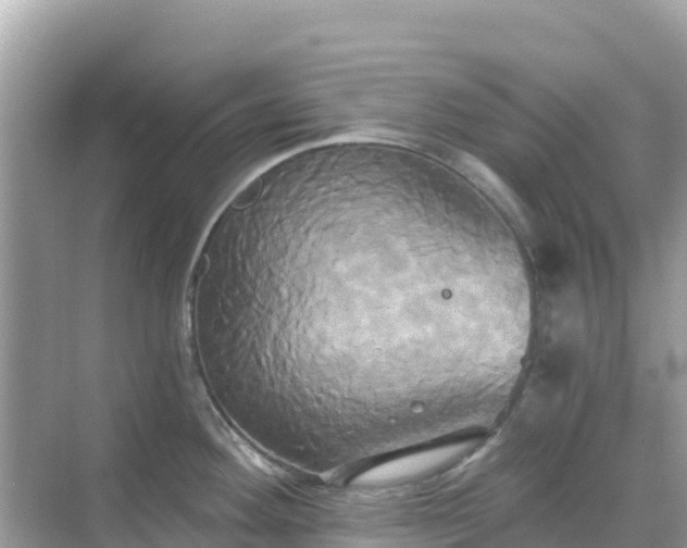 X0000068771292200605051622