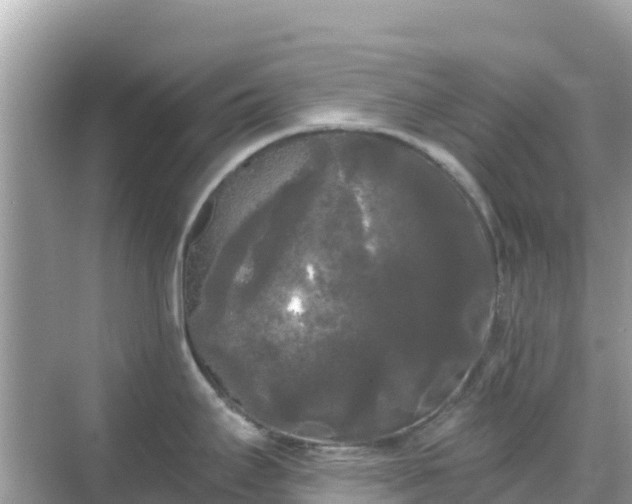 X0000068771295200605051622