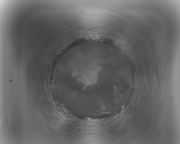 X0000068771297200605051621