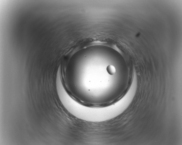 X0000068771298200605051621