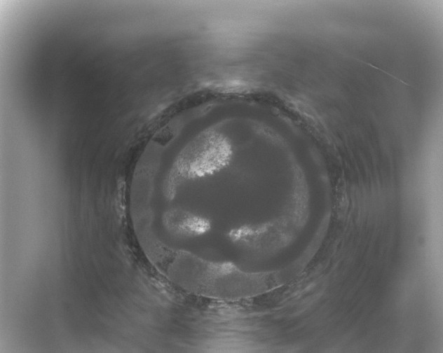 X0000068771301200605051621