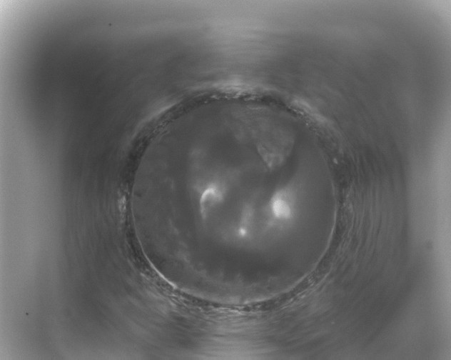 X0000068771302200605051621