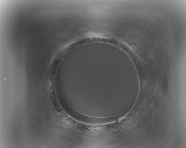 X0000068771303200605051621