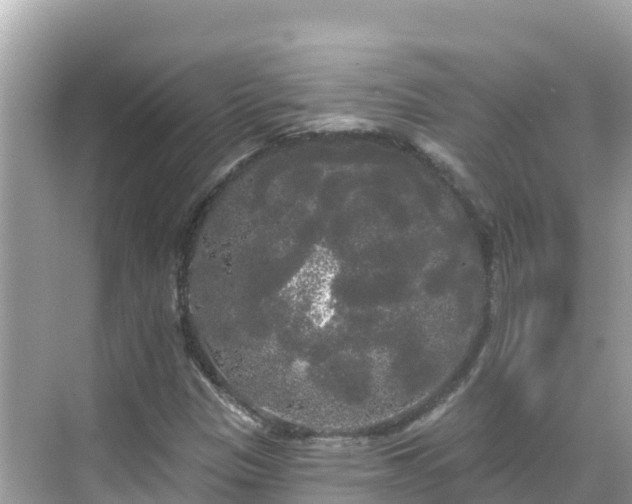 X0000068771305200605051621