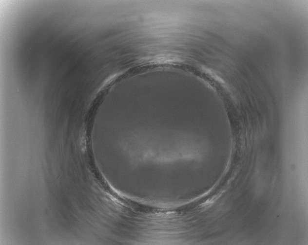 X0000068771306200605051621