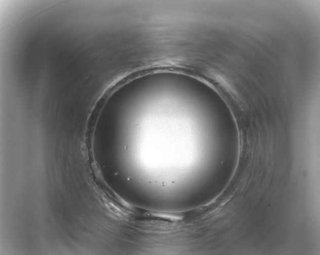 X0000068771308200605051621