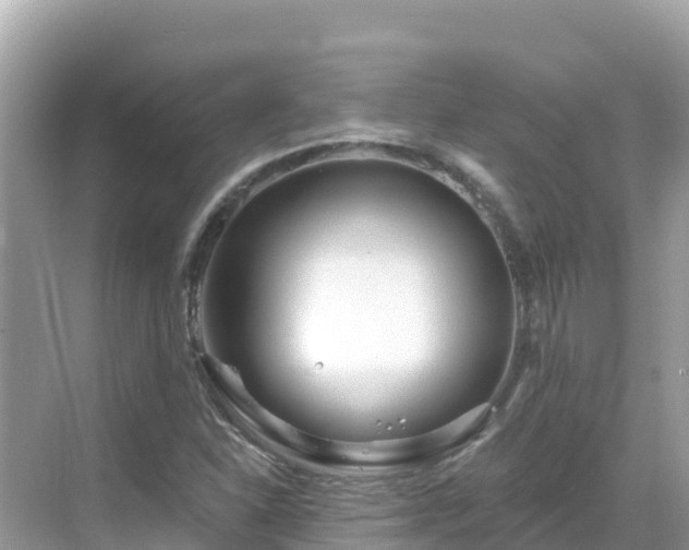 X0000068771310200605051621