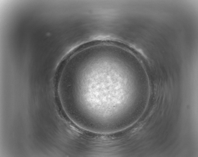 X0000068771311200605051621