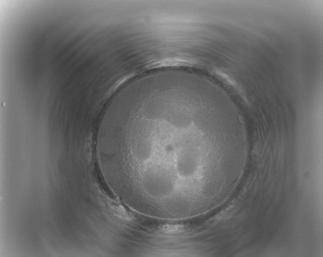 X0000068771313200605051621