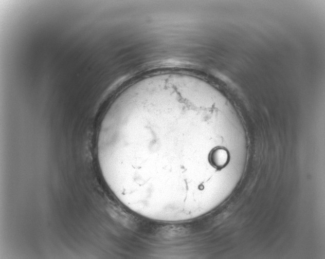 X0000068771314200605051621