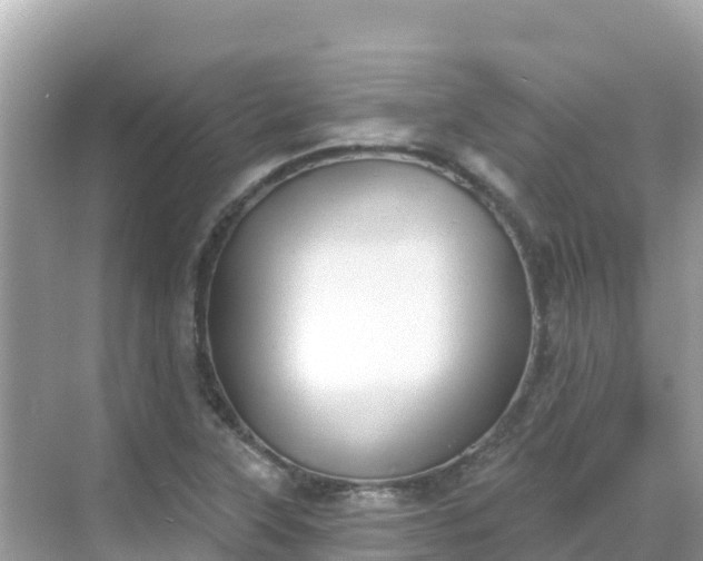 X0000068771315200605051621