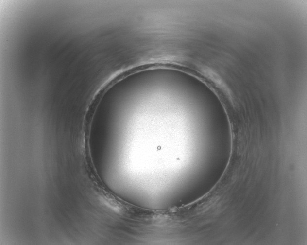 X0000068771316200605051621