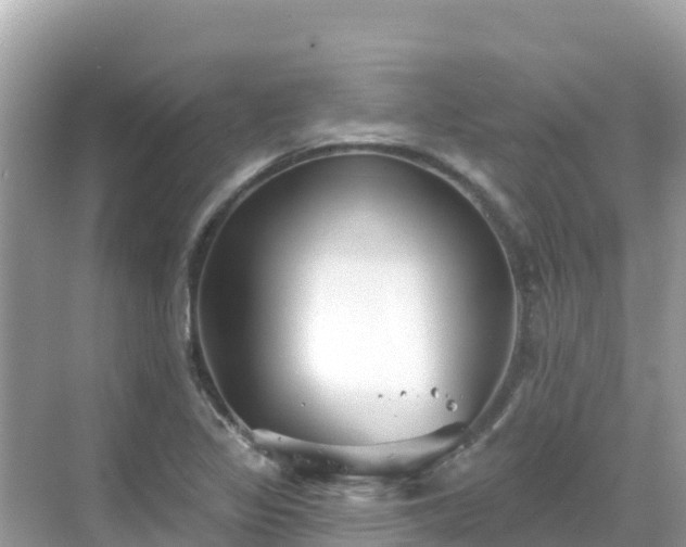 X0000068771317200605051621