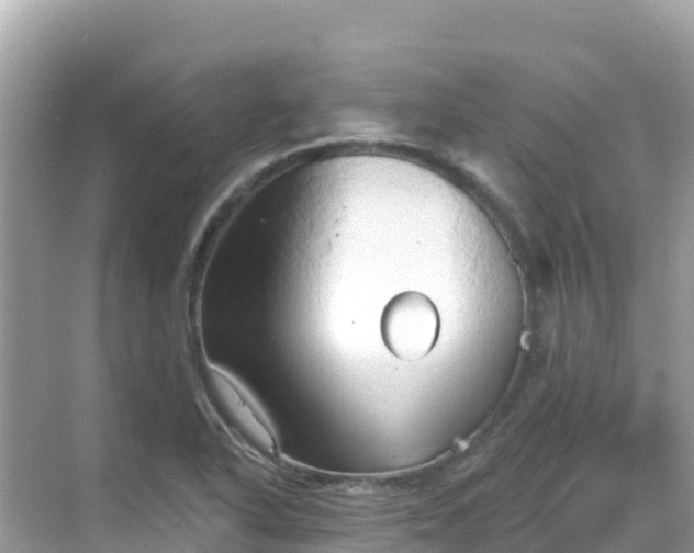 X0000068771318200605051621