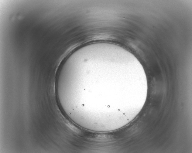 X0000068771322200605051621