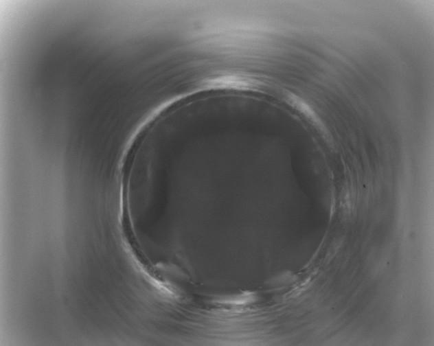 X0000068771323200605051621