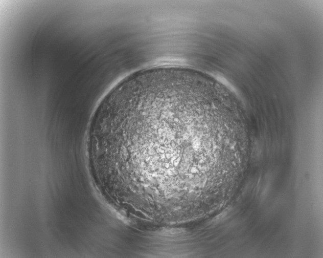 X0000068771325200605051621