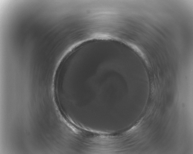 X0000068771327200605051621