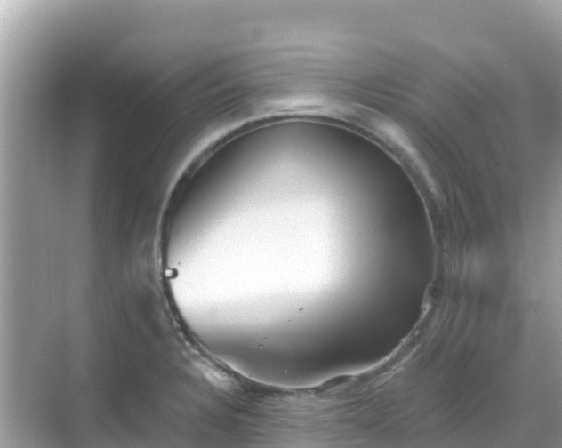 X0000068771328200605051621