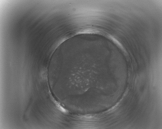 X0000068771329200605051621