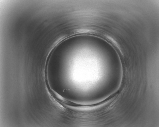 X0000068771330200605051622