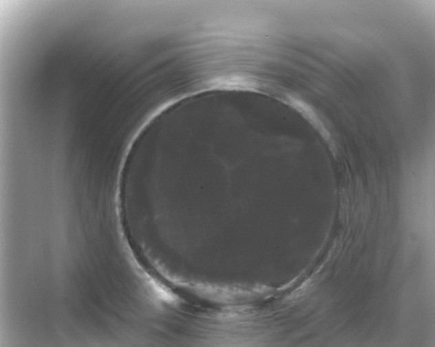 X0000068771331200605051622