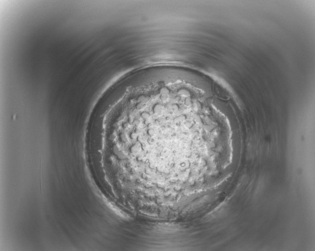 X0000068771333200605051622