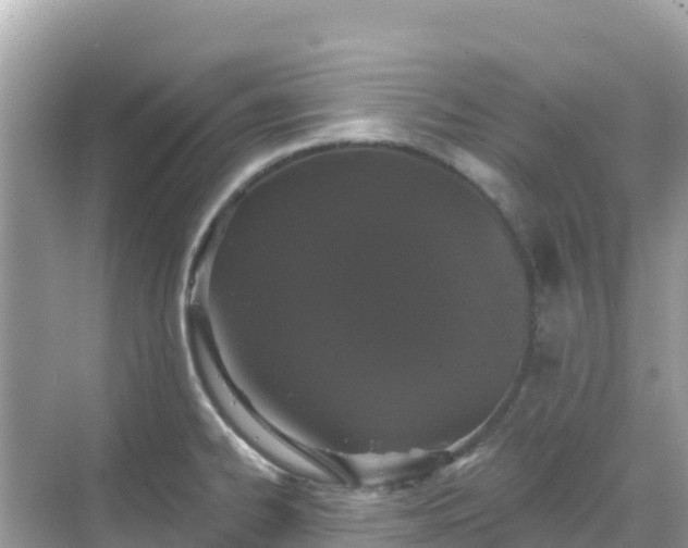 X0000068771334200605051622