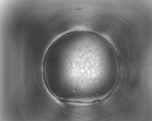 X0000068771335200605051622