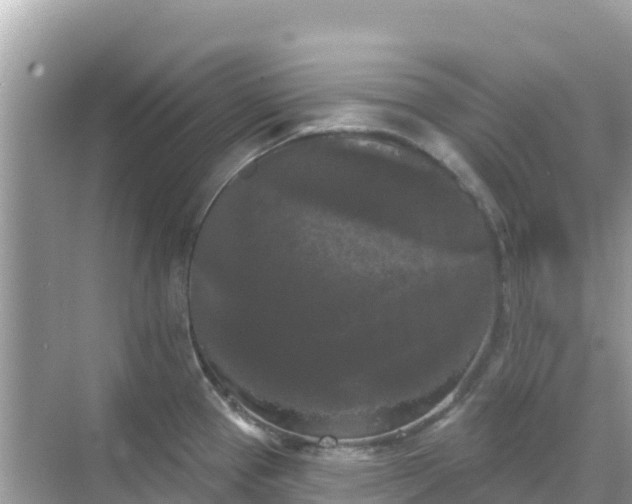 X0000068771337200605051622