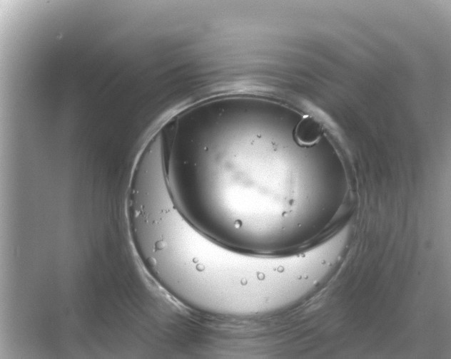 X0000068771338200605051622