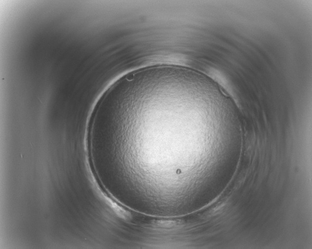 X0000068771339200605051622