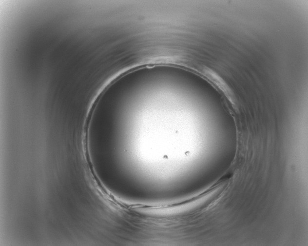 X0000068771340200605051622