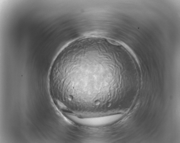 X0000068771341200605051622