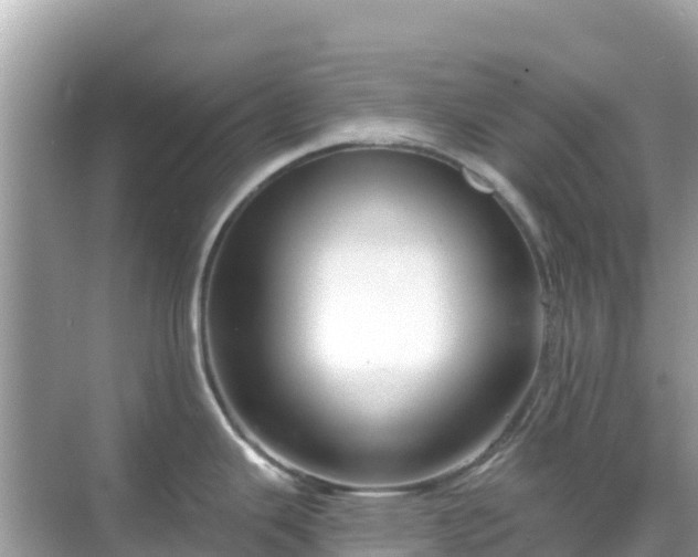 X0000068771343200605051622