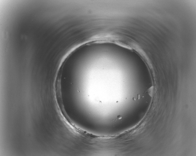 X0000068771344200605051622